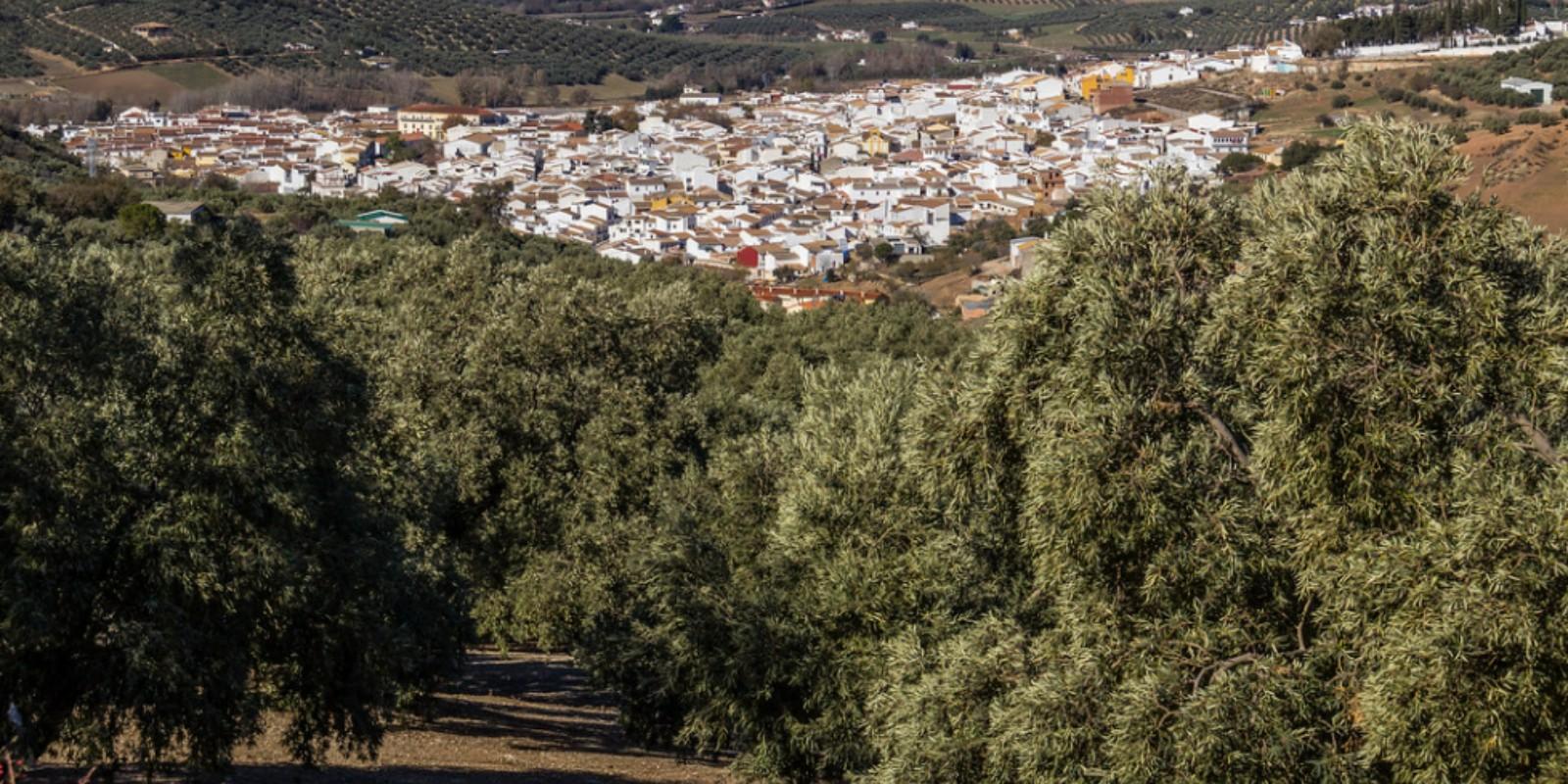 Ventajas de vivir en un pueblo pequeño conectado